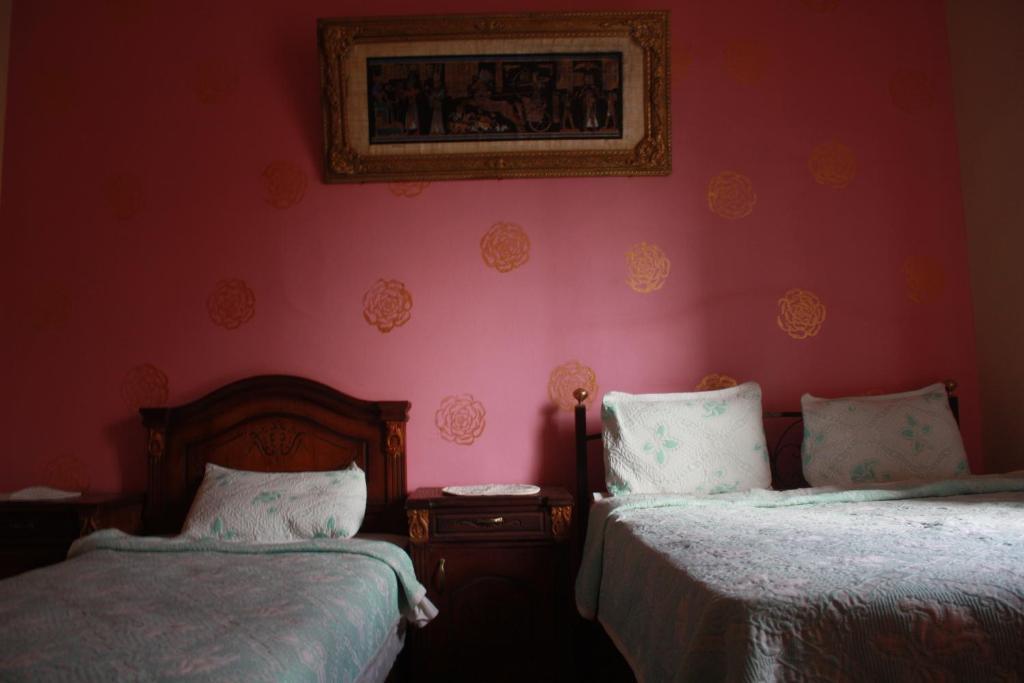 Hola Cairo Hostel Zimmer foto